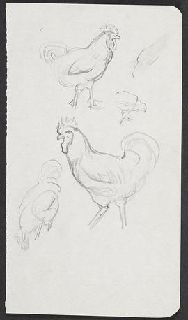 Extract from sketchbook