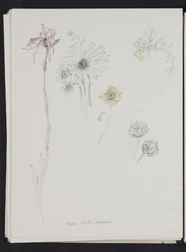 Sketchbook (Page 29)