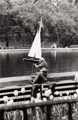 Central Park, New York