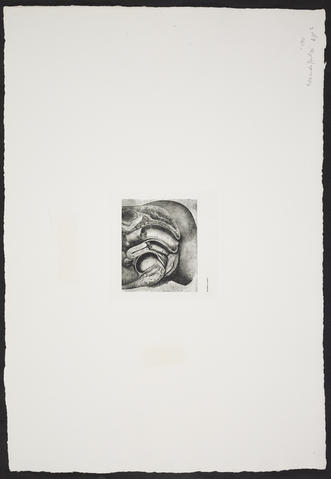 Open original Digitised item