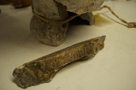 Mould of 'Young Octavian' (Version 2)