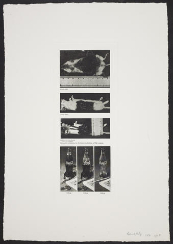 Open original Digitised item