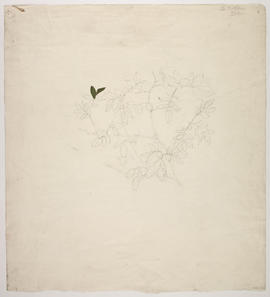 Design for decorative ironwork (Version 2)