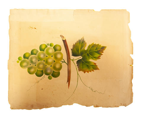 Open original Digitised item