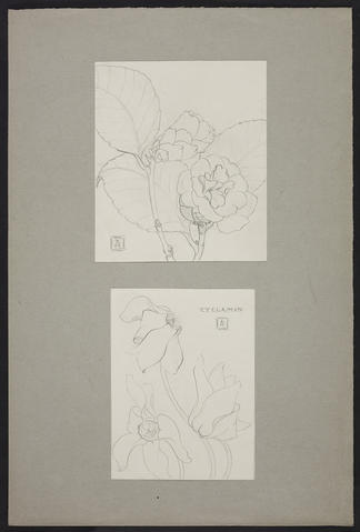 Open original Digitised item