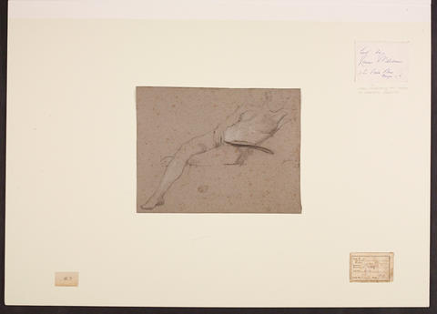 Open original Digitised item
