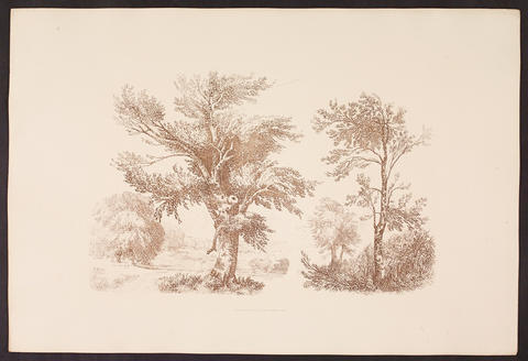 Open original Digitised item