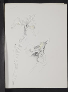 Sketchbook (Page 33)