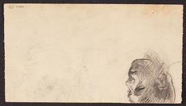 Figure drawing (Version 2)