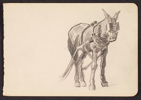 Open original Digitised item
