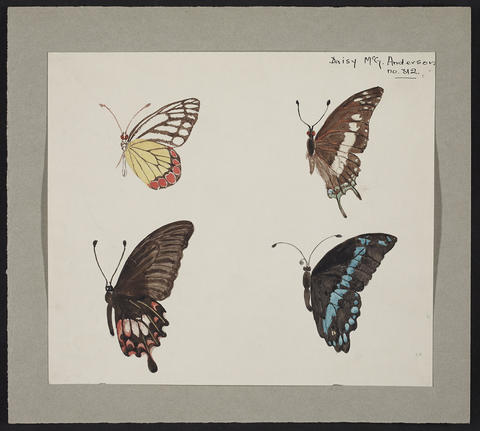 Open original Digitised item