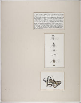 'Material' boards (Version 2)