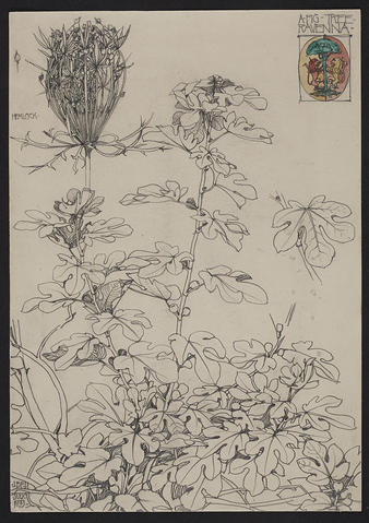 Open original Digitised item