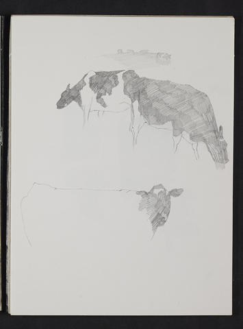 Open original Digitised item