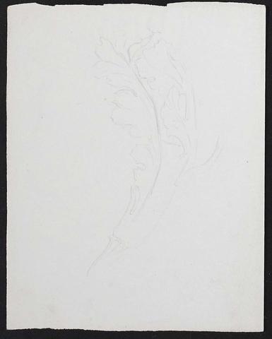 Open original Digitised item