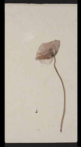 Sketchbook (Page 31)