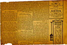Newscuttings (Version 19)