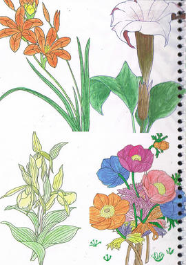 Wing Hong Creative Residency publication (Page 28)