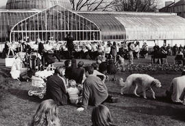 Botanic Gardens, Glasgow