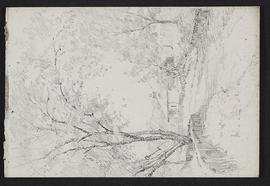 Sketchbook (Page 31)