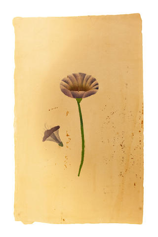 Open original Digitised item