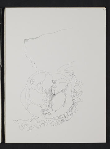 Open original Digitised item