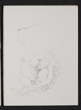 Sketchbook (Page 23)