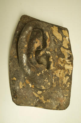 Right ear of David (Version 1)