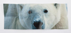 Arctic Alba; Wear Bear product (Version 2)