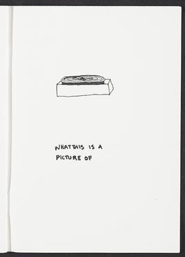 Artist book: 'There are certain things that I have tried to keep secret from you' (Page 35)
