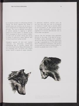 Arctic Alba; The Taxonomy of the North (Page 15)