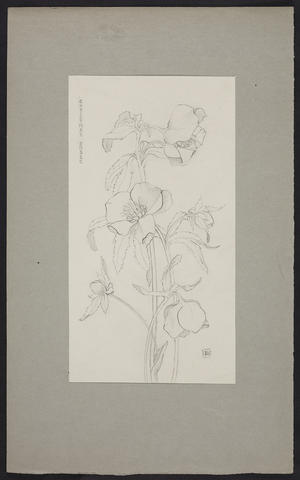 Open original Digitised item