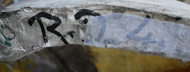 Plaster cast of foundling roundel (Version 3)