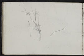 Sketchbook (Page 36)