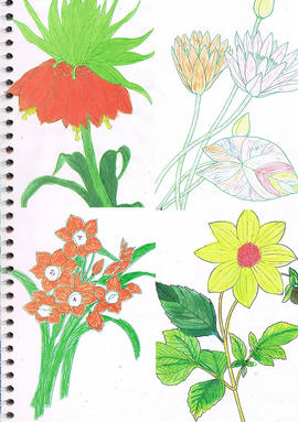 Wing Hong Creative Residency publication (Page 29)
