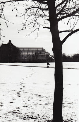 Glasgow Green