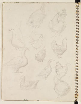Sketchbook (Page 35)