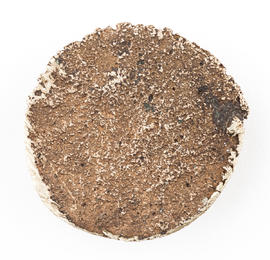 Miniature round button, featuring three-dimensional head design (Version 2)