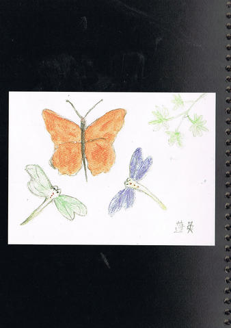 Open original Digitised item