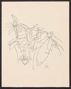 Still life study (Version 1)