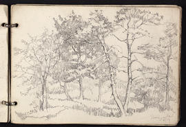 Sketchbook (Page 11)