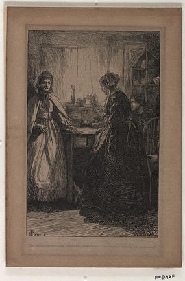 Book illustrations