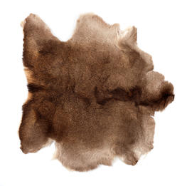 Masque Outfit, Fur (Version 1)
