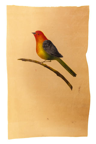 Open original Digitised item