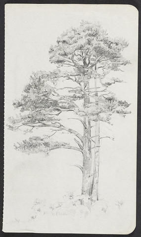 Open original Digitised item