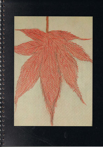 Open original Digitised item