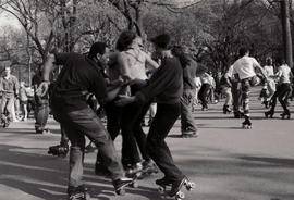 Central Park, New York