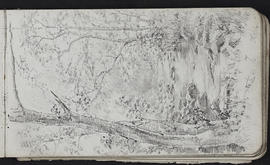 Sketchbook (Page 7)