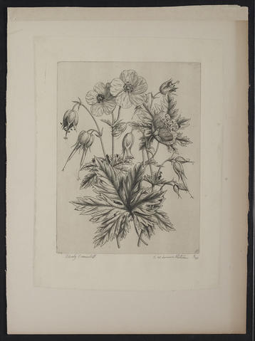 Open original Digitised item