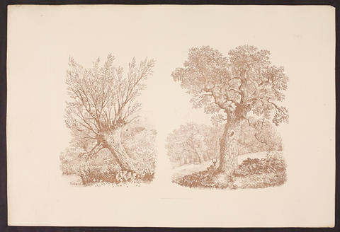 Open original Digitised item